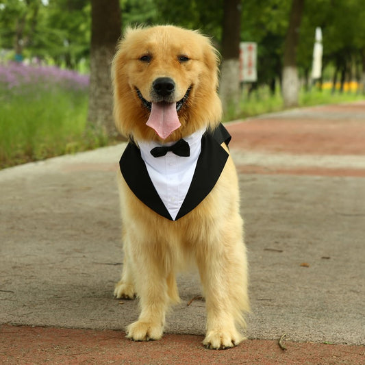 Pet Clothes Bow Tie Thin Dog Suit