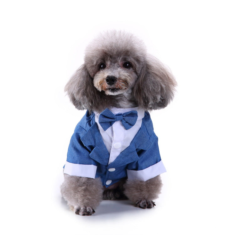 Amazon's pet dog clothes suit