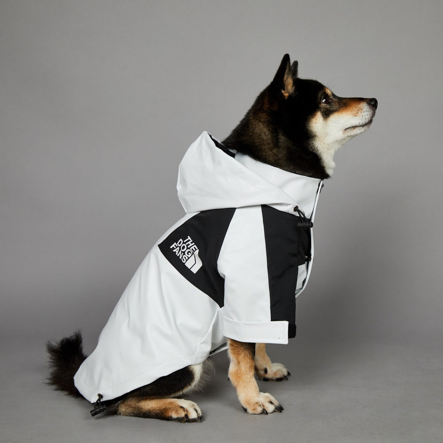 Windproof And Rainproof Large Dog Raincoat Pet Shell Jacket