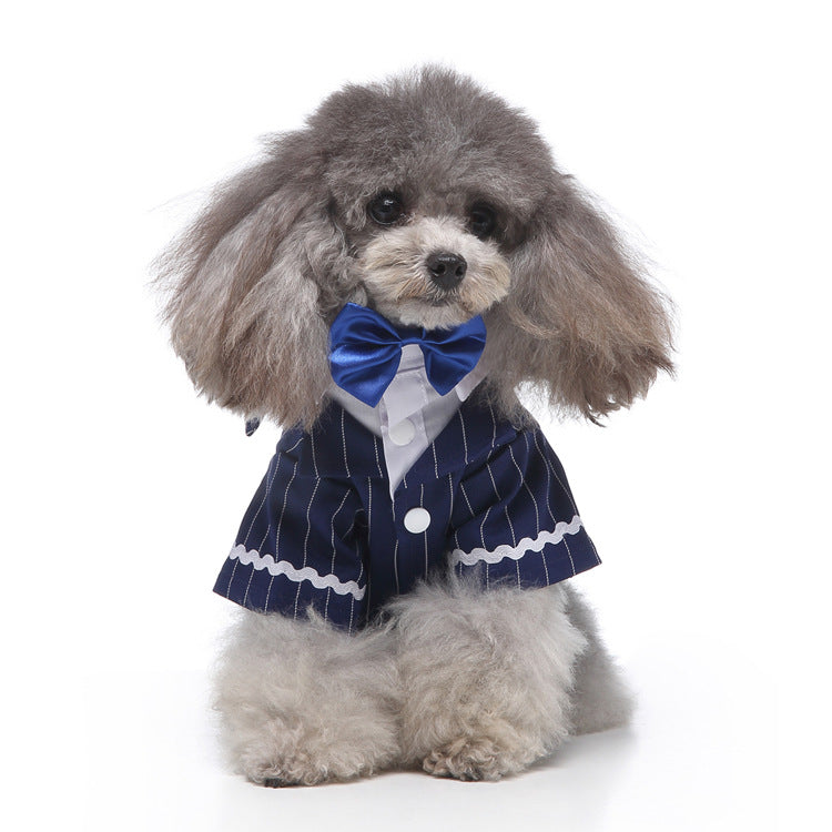 Amazon's pet dog clothes suit